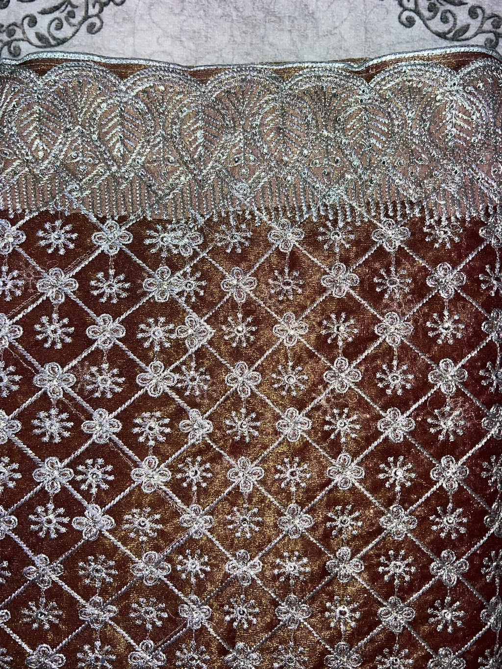 Gorgeous Stone Work Saree (JIMMY CHOO))