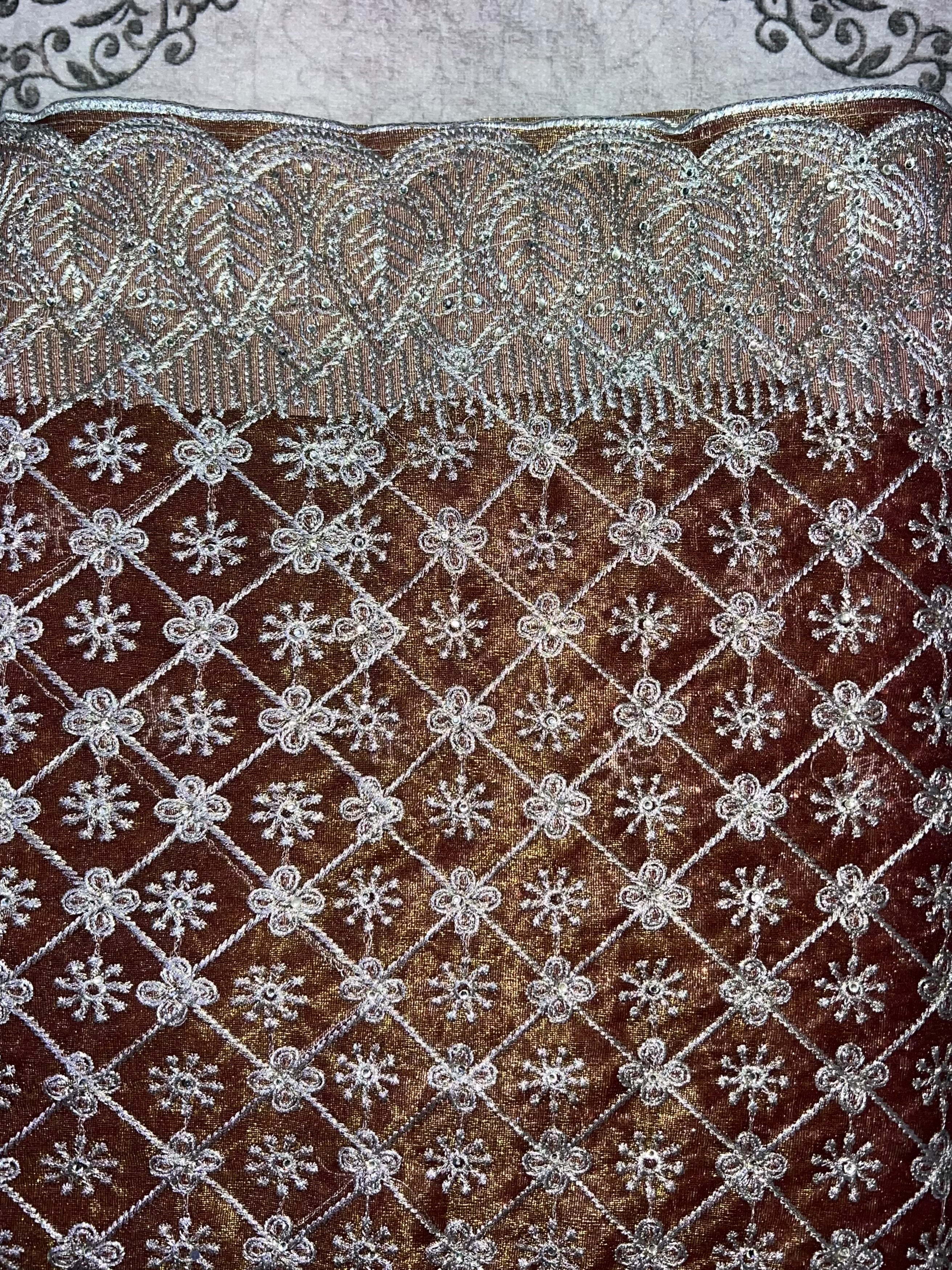 Gorgeous Stone Work Saree (JIMMY CHOO))