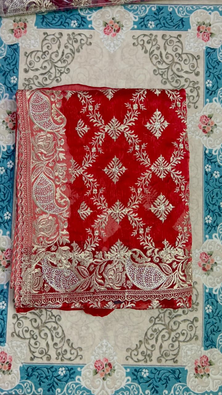 Gorgeous Red Saree with stone work (INDIAN JIMMY CHOO fabric)